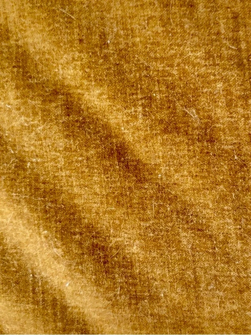West Elm Velvet  Pillow Covers (2)